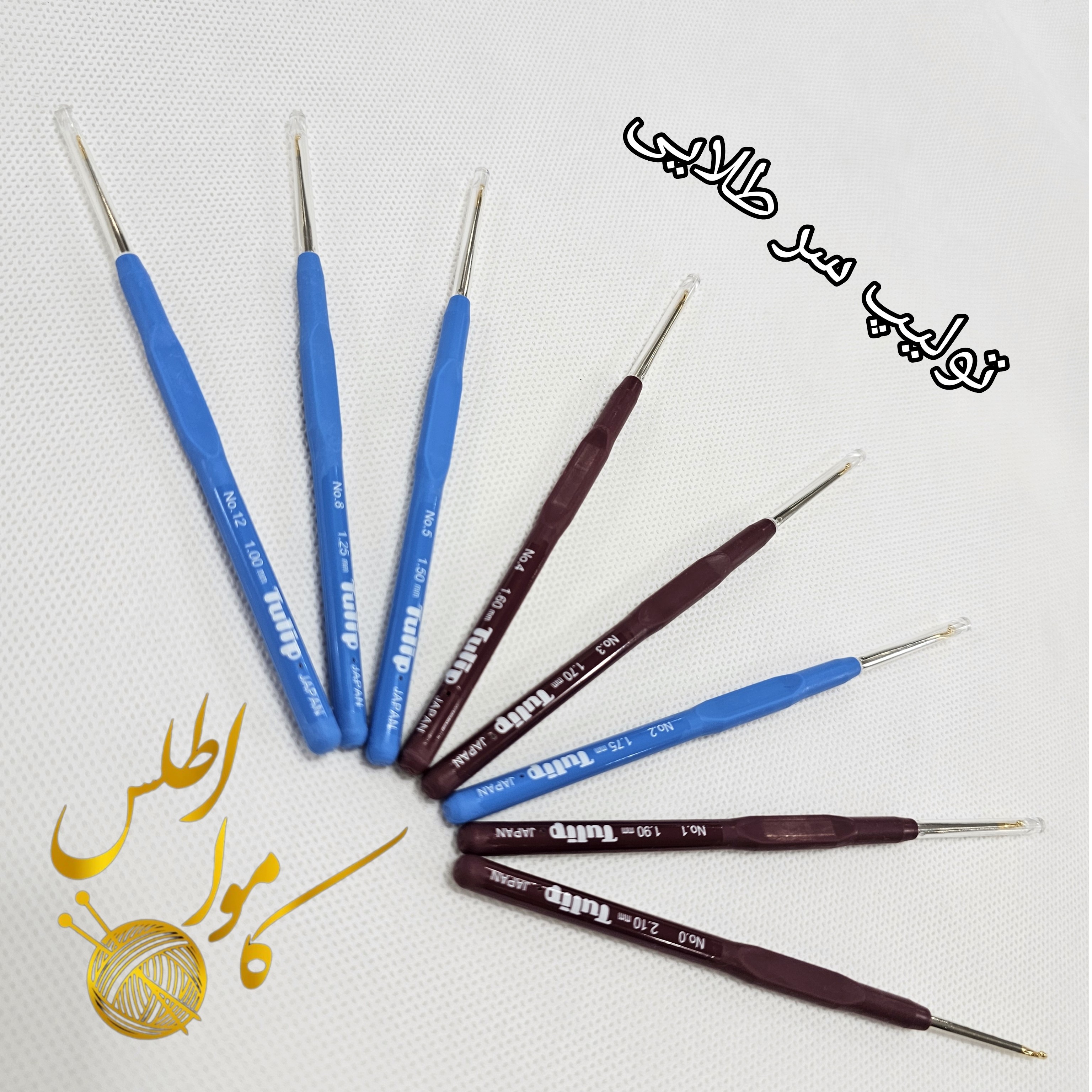 تولیپ سر طلایی ژاپن اصل